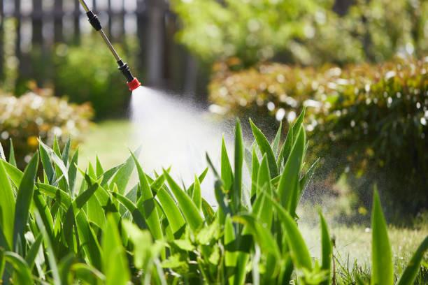 24/7 Emergency Fumigation Services experts in Warren, IL