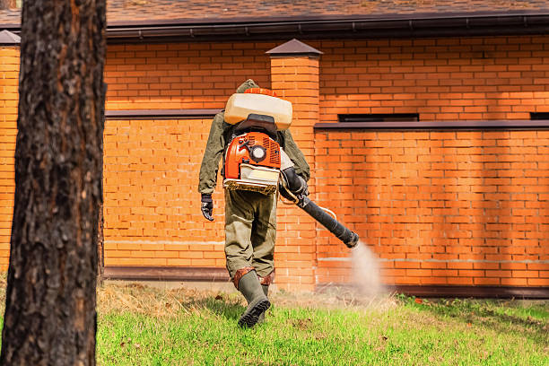 Top rated local Fumigation Services specialists in Warren, IL